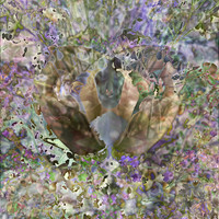 IMG_9566-Exposure 131x131mm