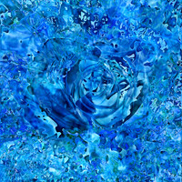 IMG_9566-Exposure 1154x154mm