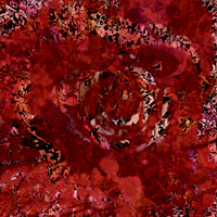 IMG_9566-Exposure 1154x154mm