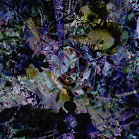 IMG_9566-Exposure 131x131mm