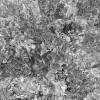 IMG_9566-Exposure 131x131mm