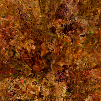IMG_9566-Exposure 1154x154mm