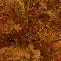 IMG_9566-Exposure 1154x154mm