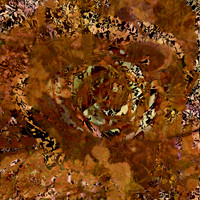 IMG_9566-Exposure 1154x154mm