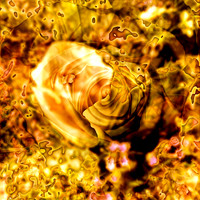 IMG_9566-Exposure 1154x154mm