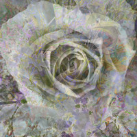 IMG_9566-Exposure 131x131mm