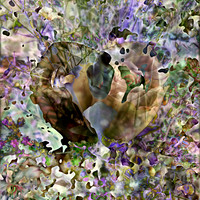 IMG_9566-Exposure 1154x154mm